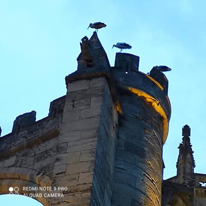 Apartamento Logis Corneille I Narbona Exterior foto